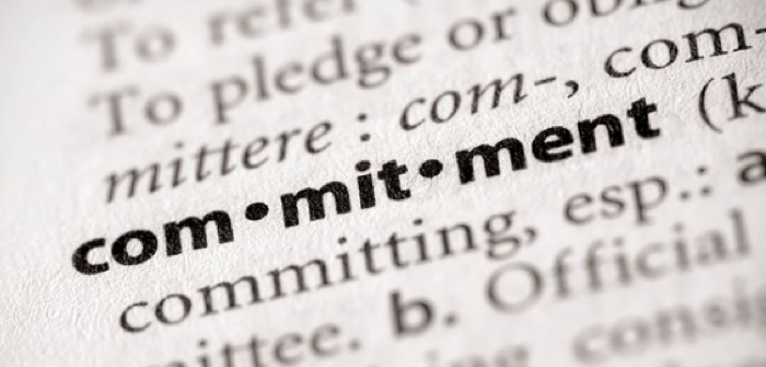 The Importance of Commitment in a Startup